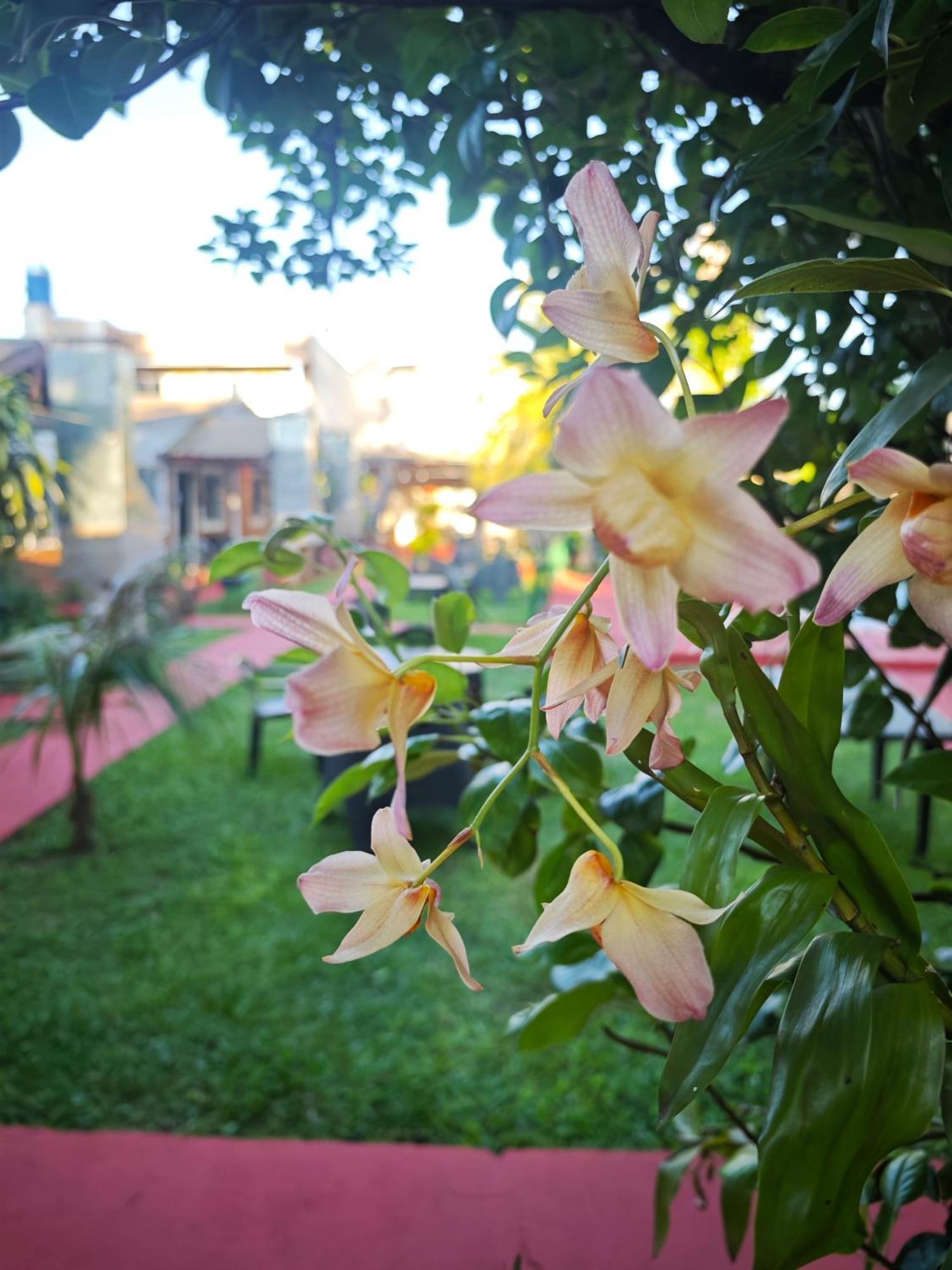El Rosedal Cataratas Inn 2*